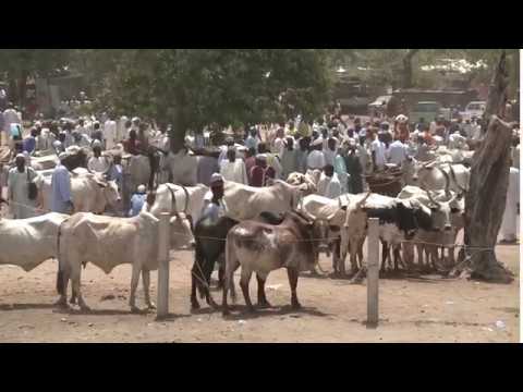 VETLAB – helping to ensure farmers have a stable future