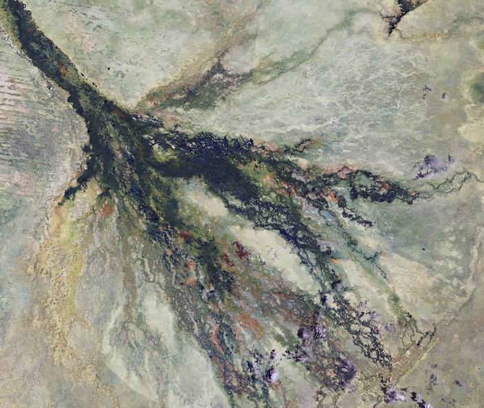 Today is World Wetlands Day and this year’s theme is ‘Wetlands for Disaster Risk…