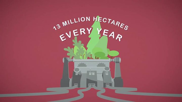 In the past 100 years, half the world’s forests have been cl…