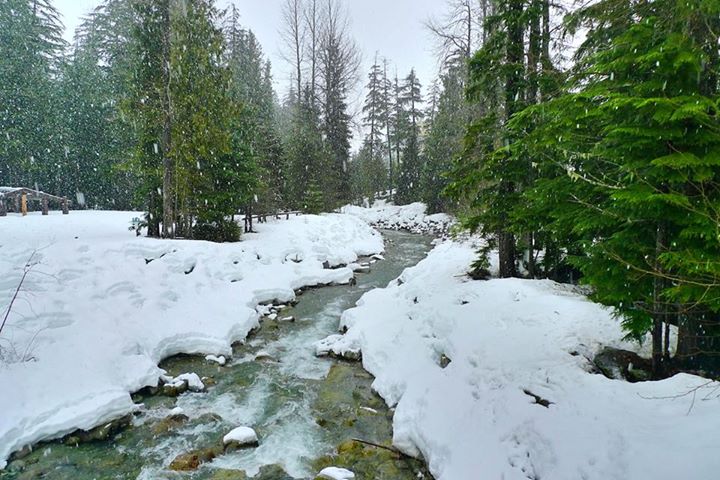 Snow covers 30% of Earth. Want to know more? Check out ‘Six …