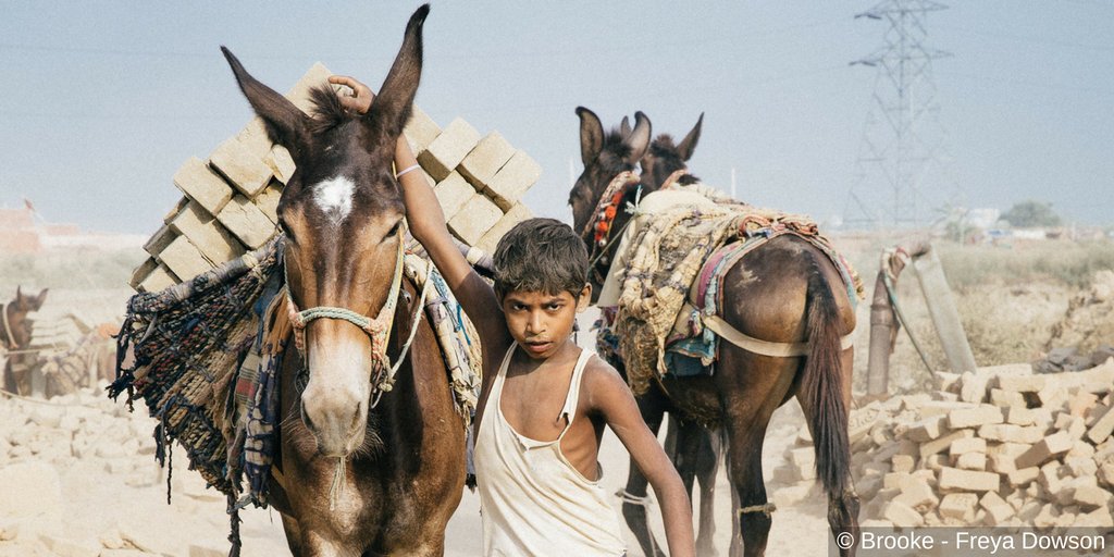 It’s not uncommon to see child labourers in traditional brick kilns. This work h…