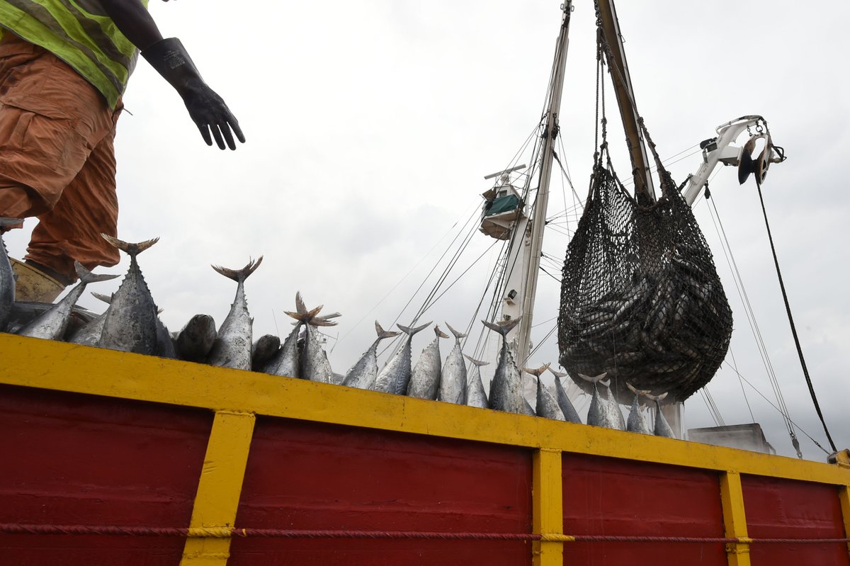 #UNFAOGlobefish Monthly #fish trade #statistics update – January 2017  …