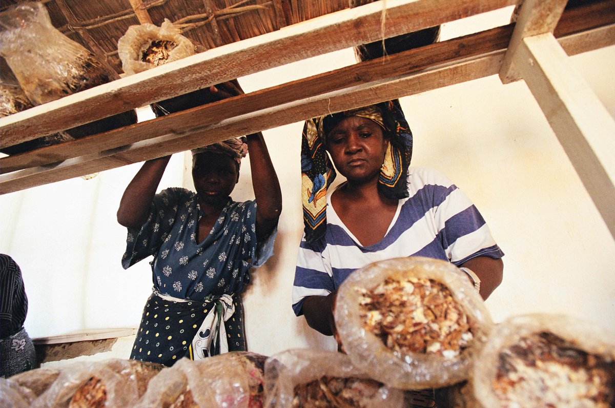 The cooperative economy is way, way bigger than you probably thin…