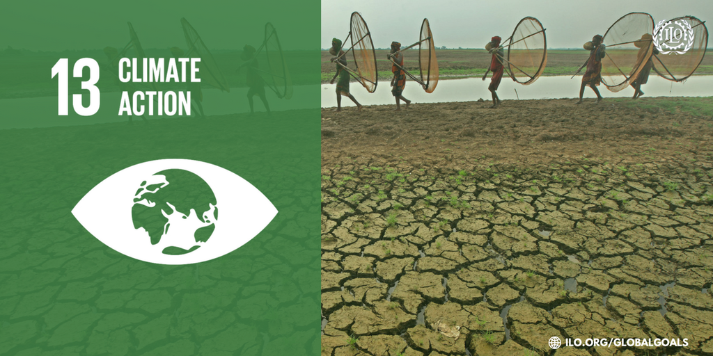 What are the employment effects of transitioning to a low-carbon economy? Find o…