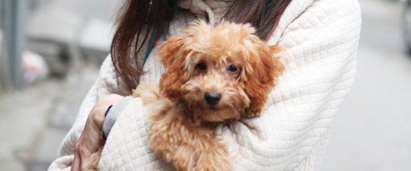 #SnowStorm Tip: Bring your furry friends inside when temperatures take a dip! Mo…