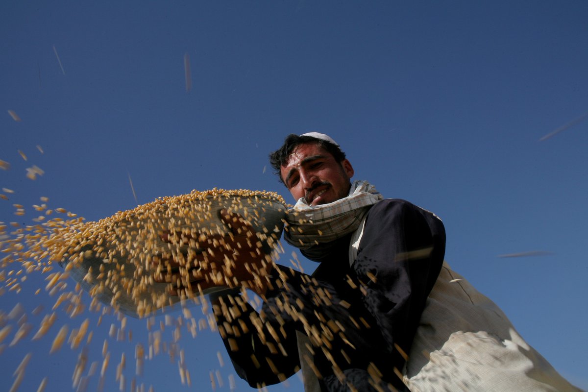 Global Information and Early Warning System – updates on global food supply and …