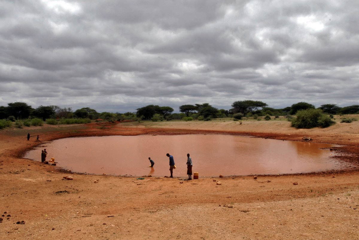 Drought is pushing food prices up sharply in East Africa  #GIEWS …