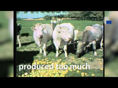 Common Agricultural Policy