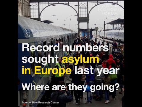 Record numbers sought asylum in Europe last year   Where are they going?
