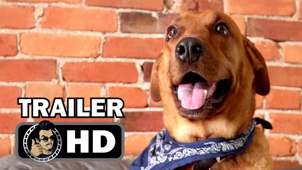 DOG BY DOG Official Trailer (2017) Puppy Mills Documentary Movie HD