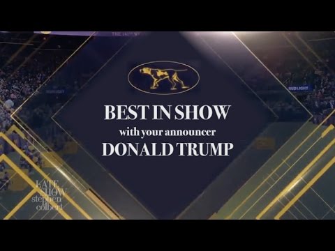 Trump At The Westminster Dog Show: Grab ‘Em By The Puppy