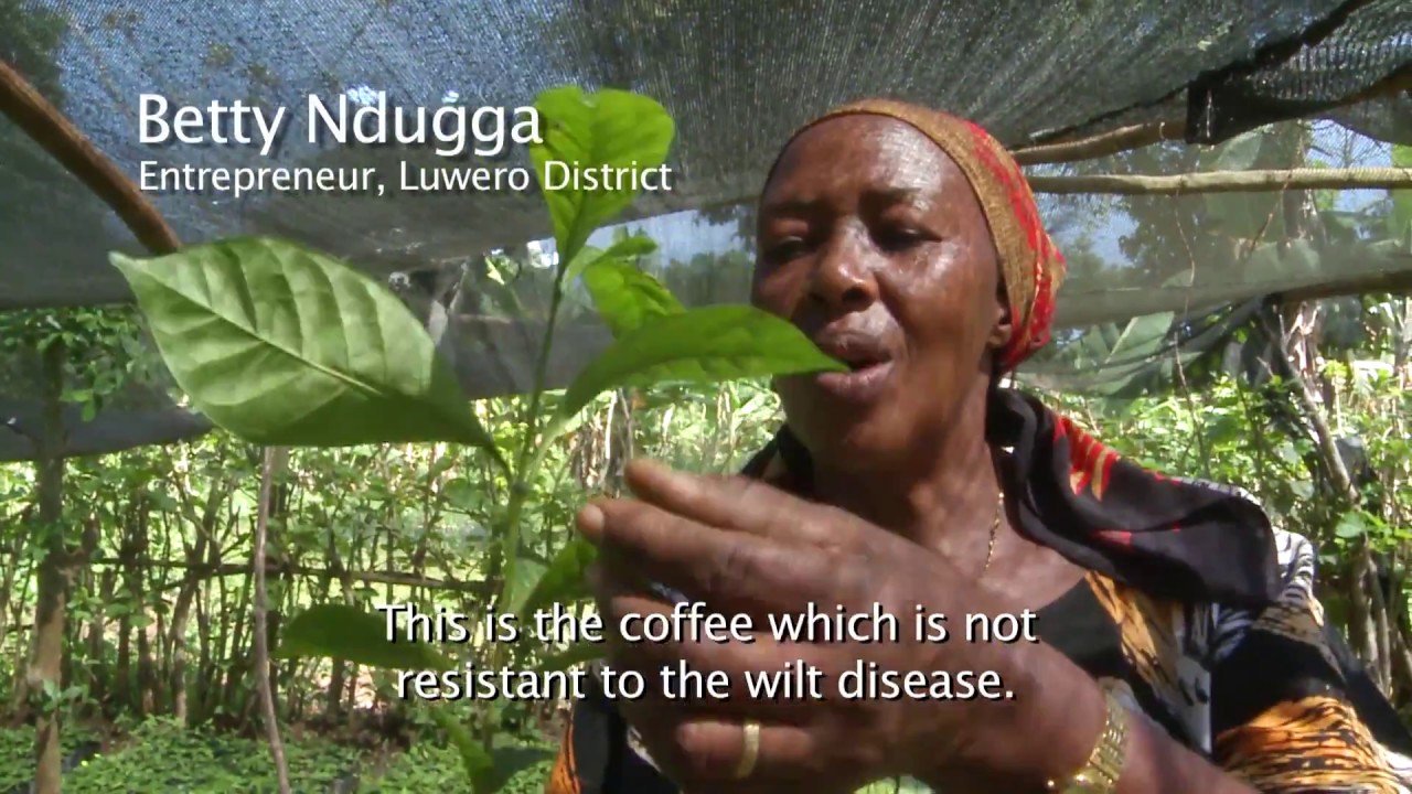 Betty Ndugga, a female entrepreneur in Uganda