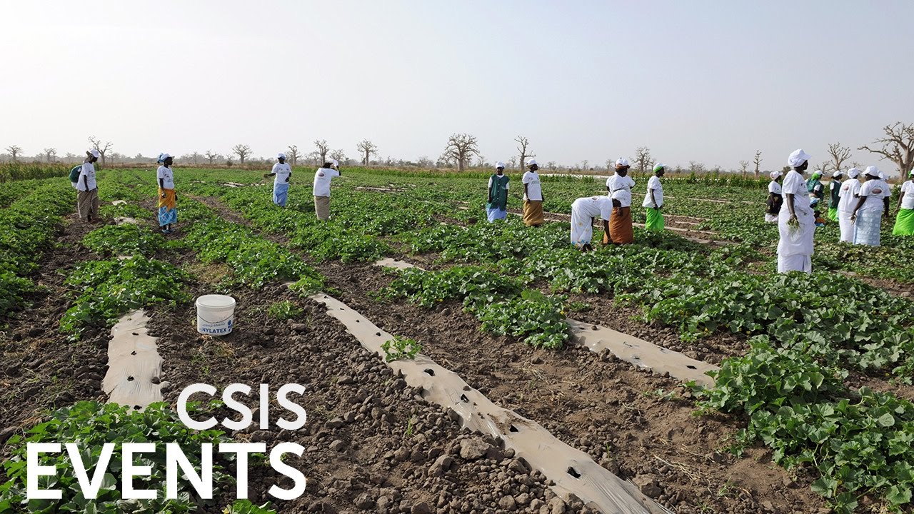 Careers in Global Development: Paul Guenette