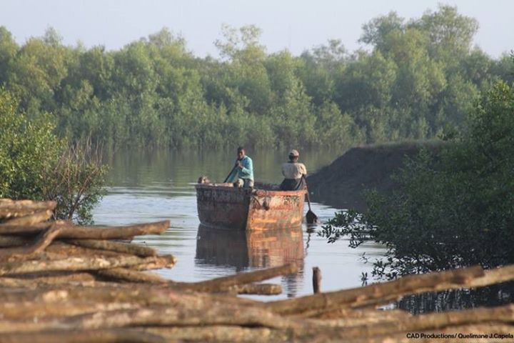 Today is International Forest Day! Social inclusion is a key…