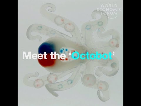 Meet the ‘Octobot’