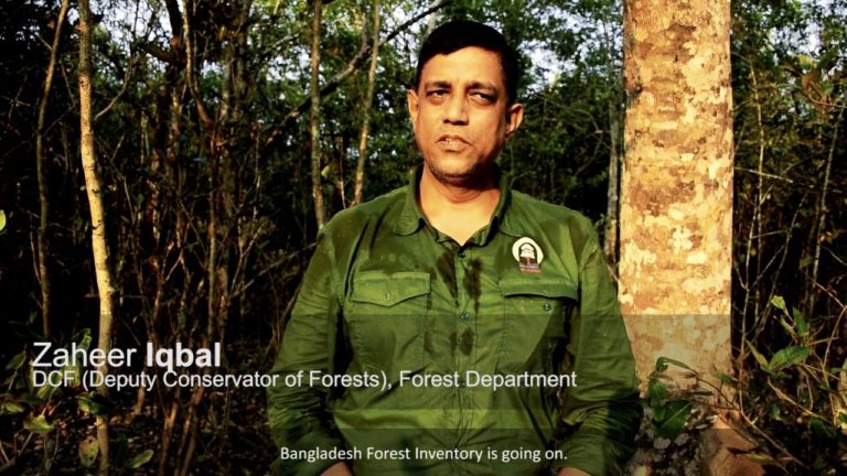 Bangladesh Forest Inventory