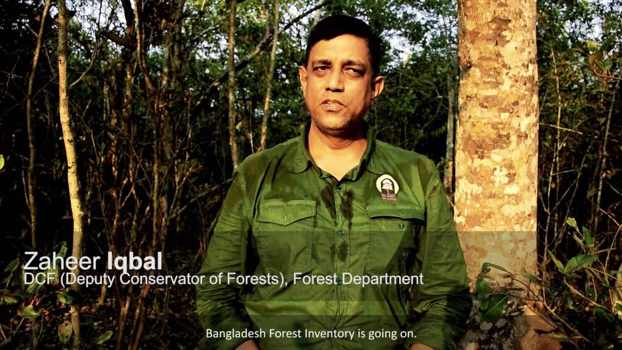 Bangladesh Forest Inventory