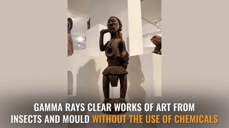 Nuclear Science and Cultural Heritage in Brazil