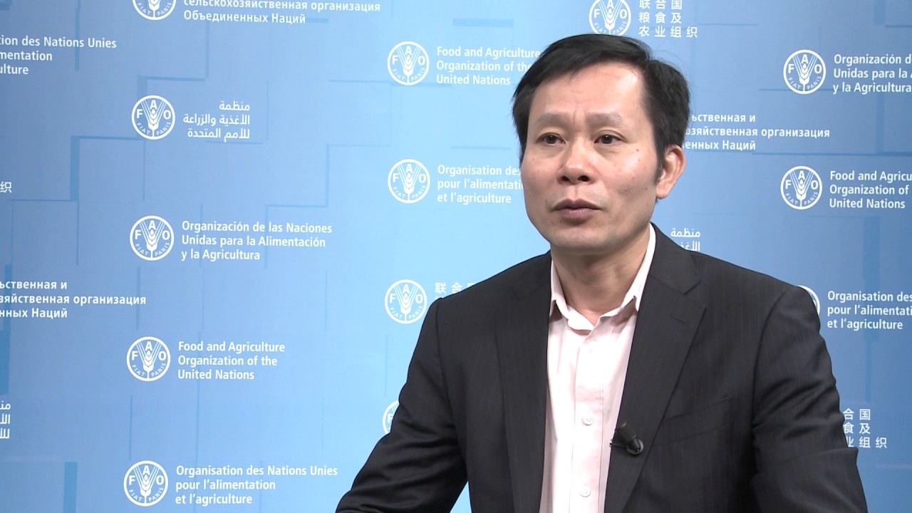 Viet Nam: integrating agriculture sectors into national climate change …