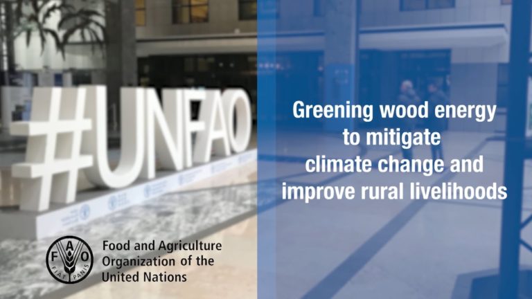 Greening wood energy to mitigate climate change and improve rural livel…