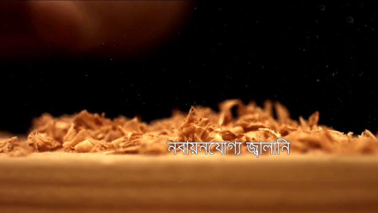 International Day of Forest 2017 – Bengali