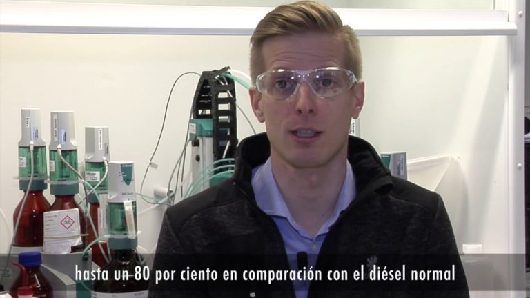 Bosques: la fuerza motriz de la naturaleza