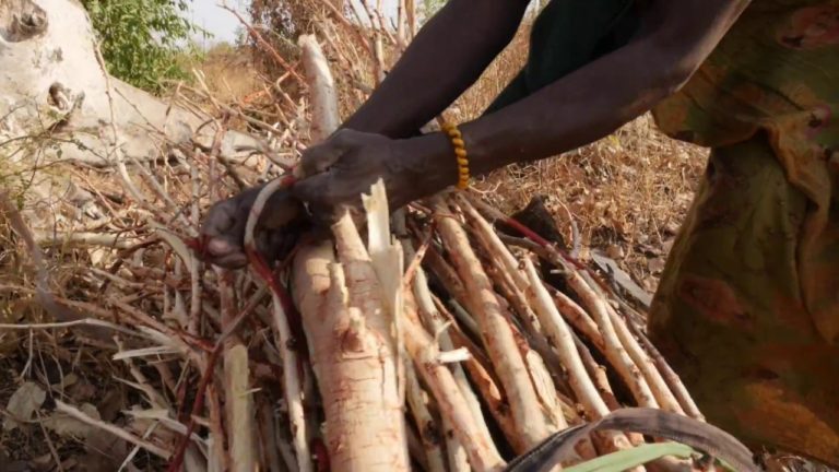 Cocinas eficientes para una vida mejor