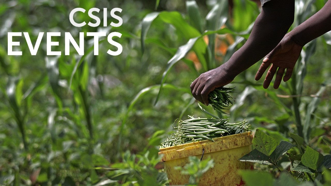 The Potential of Biotechnology to Address Food Security in Africa