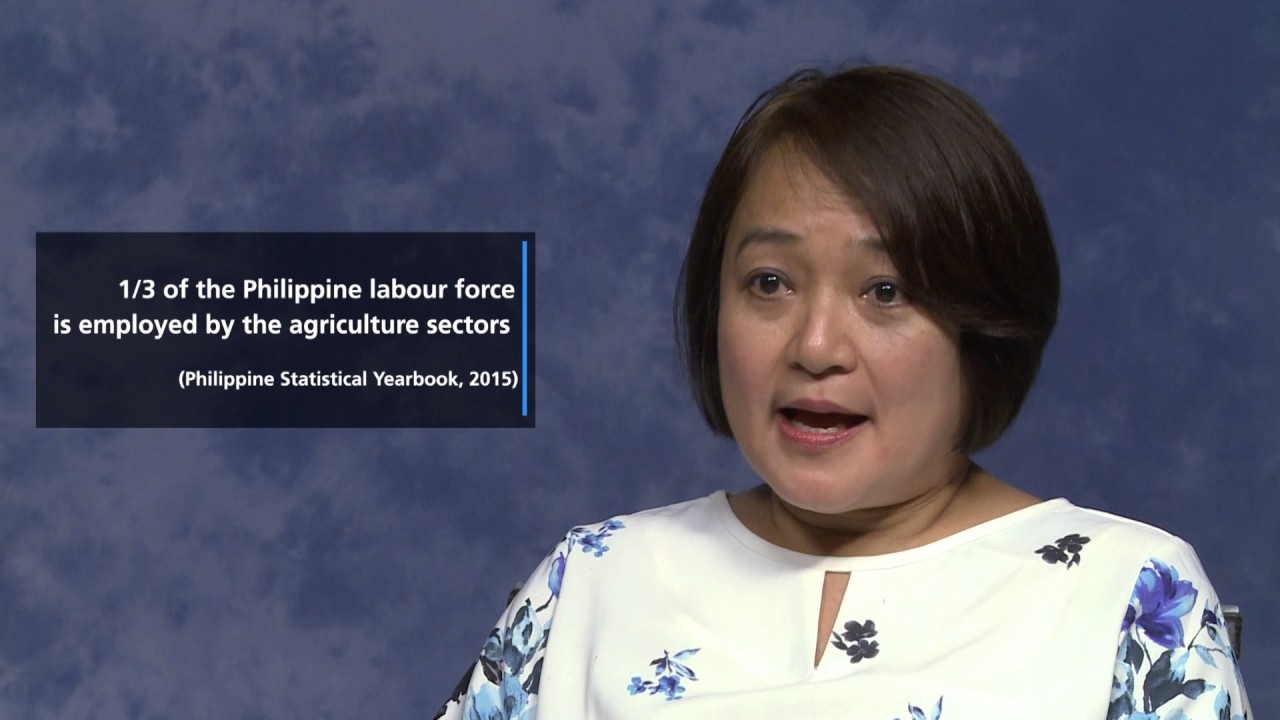 Toward productive and resilient food systems through adaptation in the …