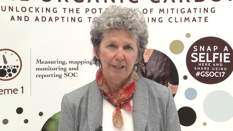 Interview with Betsy Taylor in the framework of GSOC17 Conference – Rom…