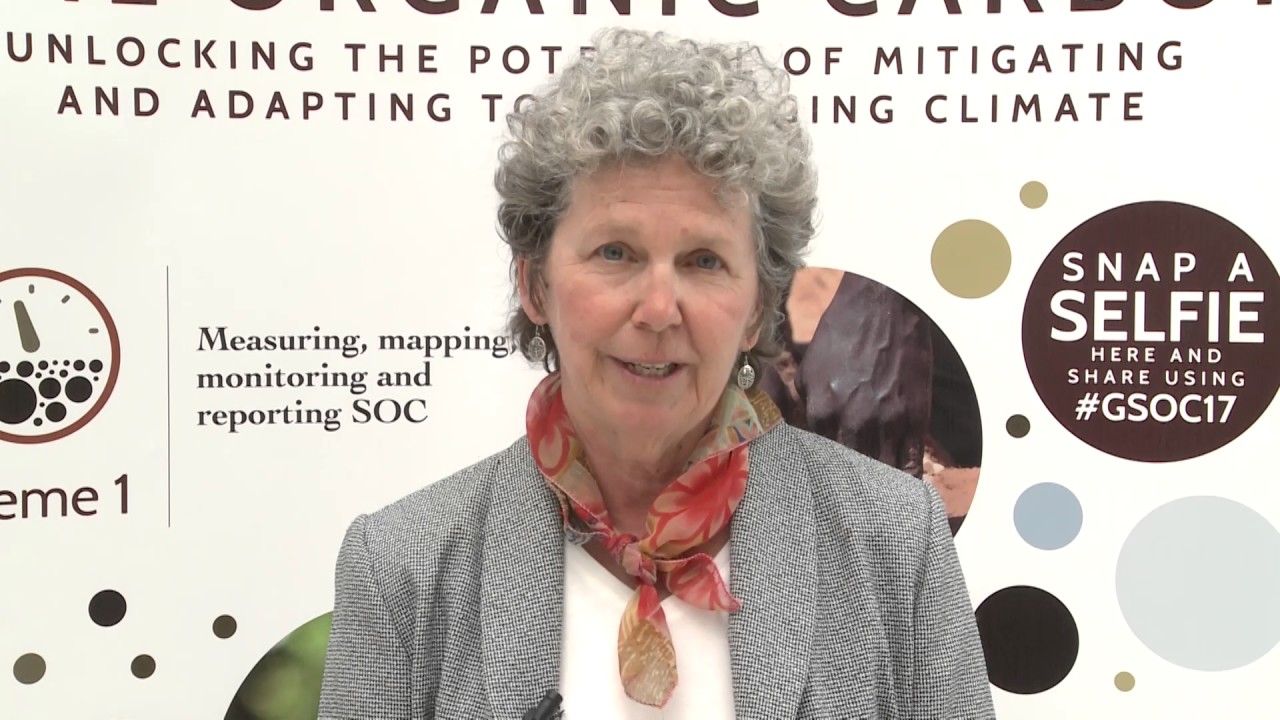 Interview with Betsy Taylor in the framework of GSOC17 Conference – Rom…