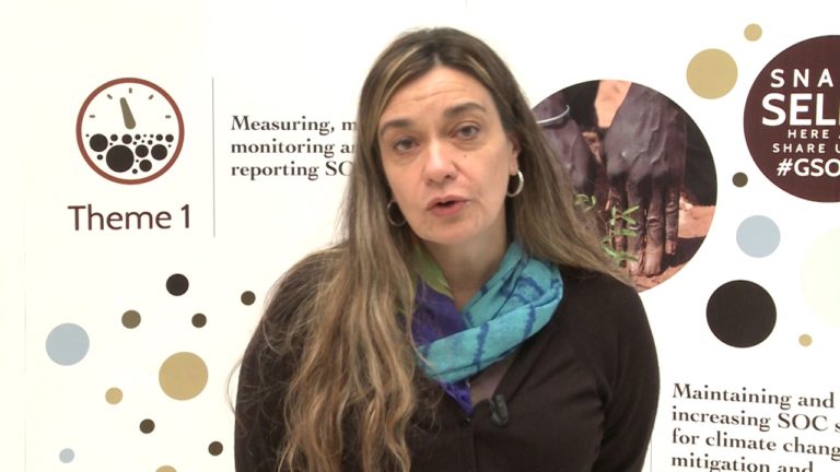 Interview with Carina Rosa Alvarez in the framework of GSOC17 Conferenc…