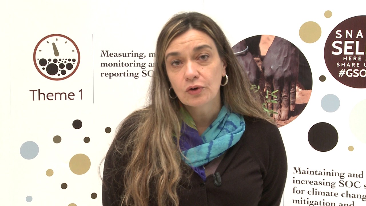 Interview with Carina Rosa Alvarez in the framework of GSOC17 Conferenc…