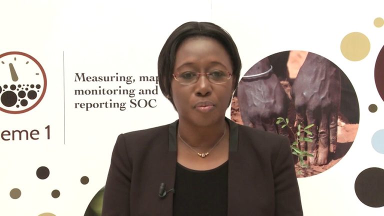 Interview with Yacine Badiane Ndour in the framework of GSOC17 Conferen…