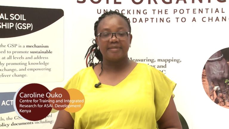 Interview with Caroline Ouko in the framework of GSOC17 conference, Rom…