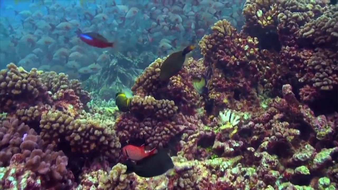 UN DESA chief: The Ocean Conference will be a “game changer” for the international community