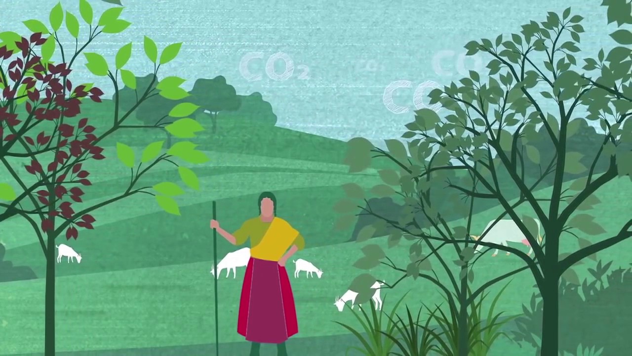 Understanding Climate Smart Agriculture (in Georgian)