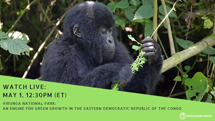 Virunga is Africa’s oldest national park and most biological…