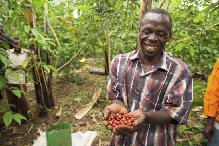 How can we help smallholder farmers seize opportunities in Africa?