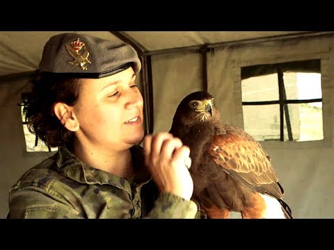 The Spanish “Lady Hawk” – #WeAreNATO