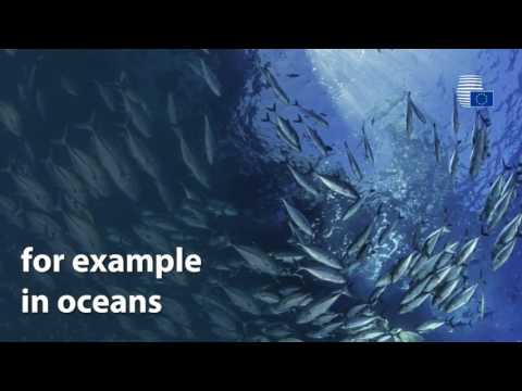 The EU acts to limit mercury pollution