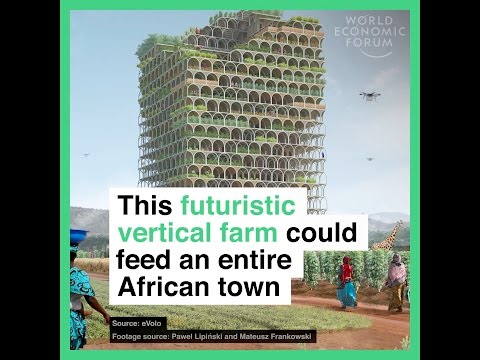 This futuristic vertical farm could feed an entire African town