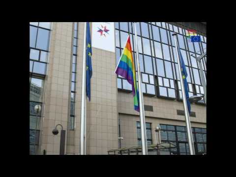 Installation of the rainbow flag at the Council building