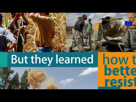 European consensus for development