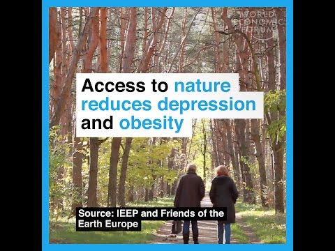 Acces to nature reduces depression and obesity