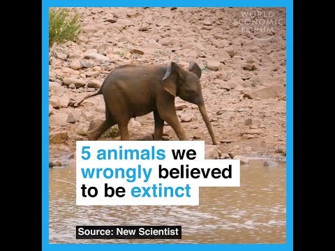 5 animals we wrongly believed to be extinct