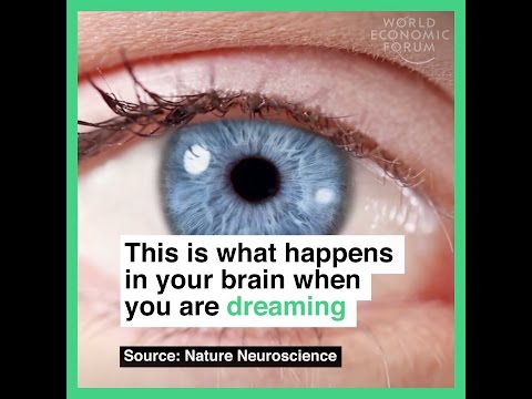 This is what happens in your brain when you are dreaming
