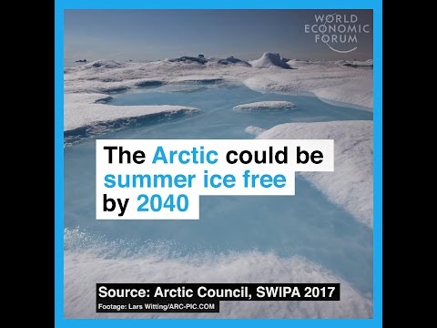 The Arctic could be summer ice free by 2040