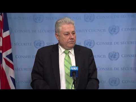 Volodymyr Yelchenko (Ukraine) on the situation in Georgia – Media Stakeout