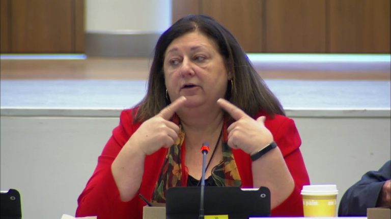 Human rights: the pillar that sustains core purpose of the UN says President of Chile